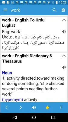 Dict Box Urdu android App screenshot 3